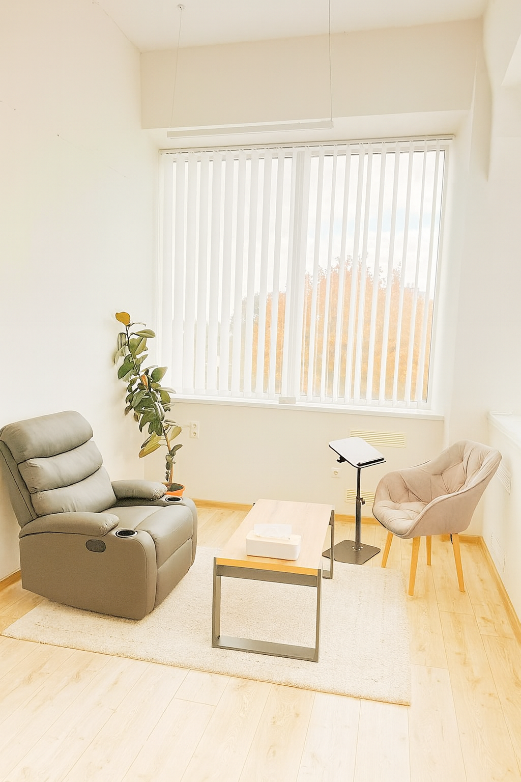 Кабінет психолога — загальний вигляд